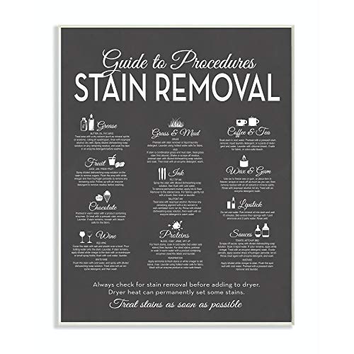 Stupell Home Décor Guide to Stain Removals Wall Plaque Art 10 x 05 x 15 Proudly Made in USA