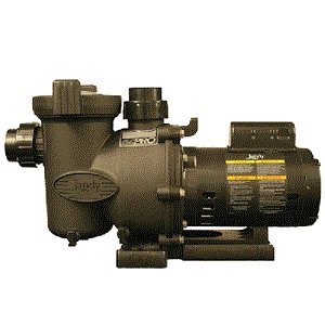 Jandy Fhpm 1-1/2 To 2 Flopro, Two Speed 1-1/2-horsepower Swimming Pool Pump