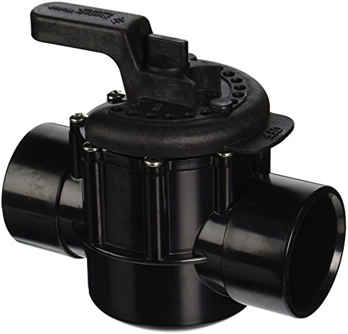 Pentair 263027 2-Inch 2-Way CPVC Diverter Valve