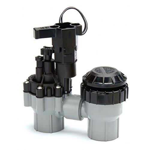 Rainbird Plastic ASVF Series Electric Valve with Flow Control and Atmospheric Backflow Preventer 124 VAC