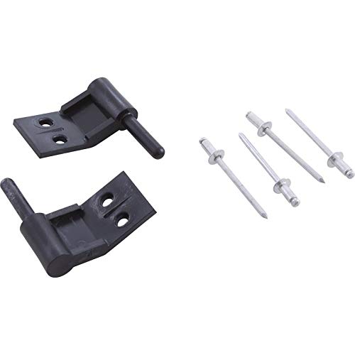 Pentair Compool Replacement Parts HINGE PINS FOR INTERIOR FACEPLATE SET OF 2 LXPIN