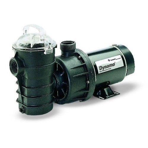 New Pentair 340106 Dynamo Above Ground Swimming Poolspa Pump 15 Hp Dynii-in