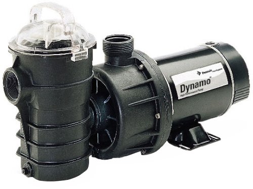 Pentair 340400 Dynamo Two Speed Aboveground Pool Pump With 3-feet Twist Lock Cord 1-12 Hp