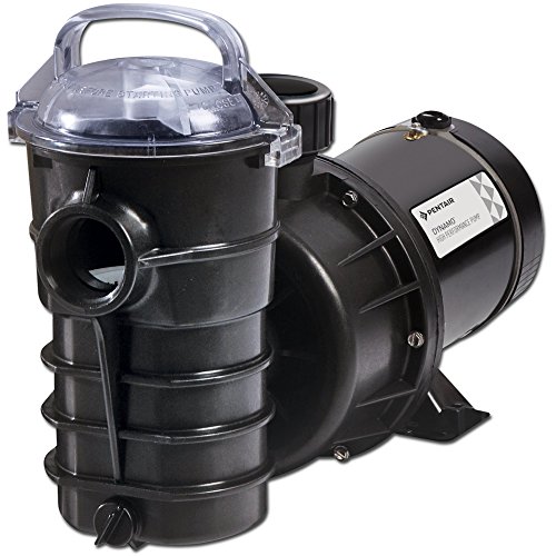 Pentair Dynamo 15 Horsepower Above Ground Pool Pump - 340210