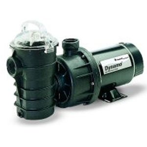 Pentair Dynii-ni- 3/4 Hp Dynamo Single Speed Aboveground Pool Pump With Cord, 3/4 Hp