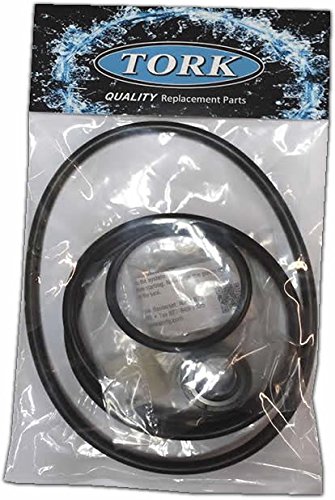 Pentair Pacfab Dynamo Pool Pump O-ring  Seal Kit