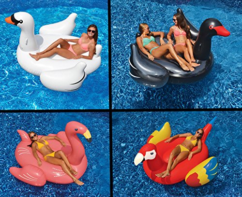 Swimline Swimming Pool Float Lounger Set WhiteBlack Swans  Flamingo  Parrot --PEWT43 65234R3FA624798