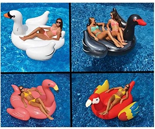 Swimline Swimming Pool Float Lounger Set WhiteBlack Swans  Flamingo  Parrot from-by_alicelittleshoponline it155172274550352