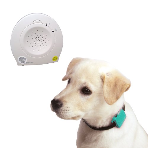 Safety Turtle Pet Immersion Pool/water Alarm Kit - Green