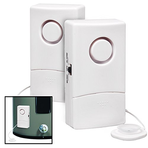 2 Water Alarms With Sensors For Floods Leaks Basement Detector Sump Pump Heater Model  Tools Hardware store