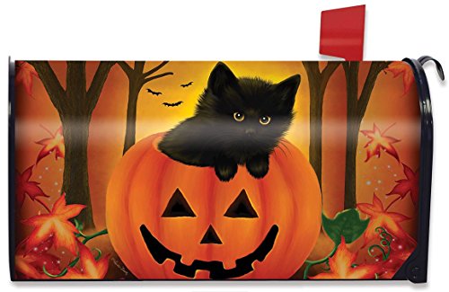 Halloween Kitten Magnetic Mailbox Cover Jack O'lantern Holiday Briarwood Lane