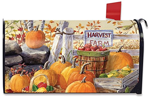 Harvest Farm Fall Magnetic Mailbox Cover Pumpkins Apples Standard Briarwood Lane