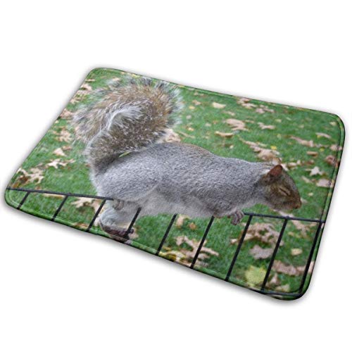 FTRGRAFE Squirrel Park Home Door Mat Super Absorbent Slide-Proof Front Floor MatSoft Coral Memory Foam Carpet Bathroom Rubber Entrance Rugs for Indoor Outdoor