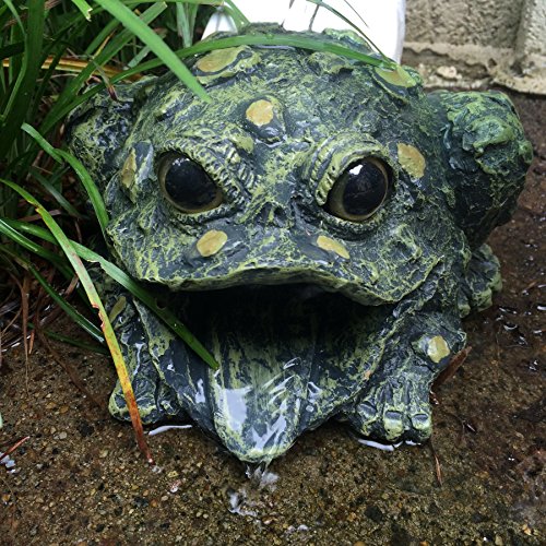 Toad Hollow Downspout Cover Gutter Drain Mate Statue NAT Green