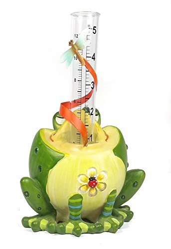 Hand Crafted Frog Figurine Decorative Rain Gauge frog And Dragon Fly