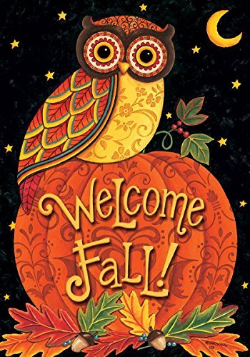 Fall Welcome Owl Perched On Pumpkin 12 X 18 Inch Garden Flag Custom D&eacutecor