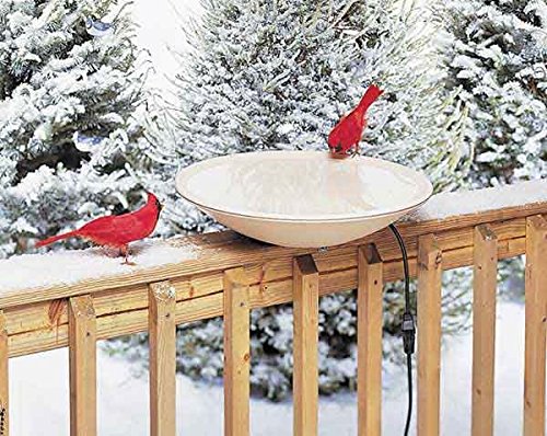 2 PACK Heated Bird Bath 20 in wHardware