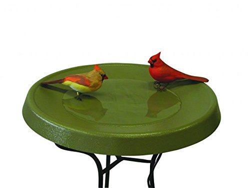 Birds Choice Olive Green Pedestal Heated Bird Bath