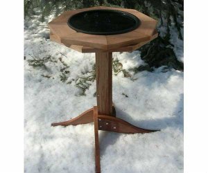 Songbird Essentials Heated Birdbath