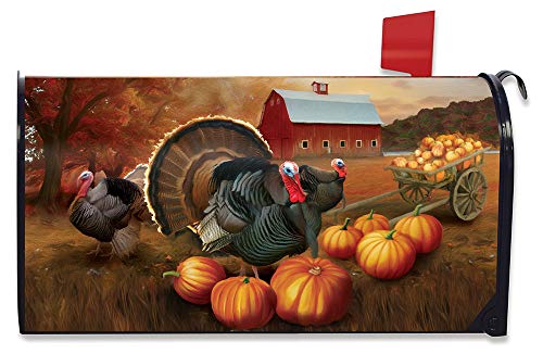 Briarwood Lane Autumn Turkeys Large Mailbox Cover Fall Tom Holiday Oversized