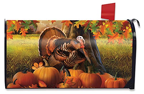 Briarwood Lane Harvest Turkey Fall Magnetic Thanksgiving Mailbox Cover Autumn Pumpkins Standard