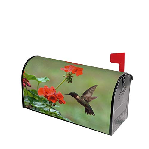 Mount Hour Hummingbirds Birds Spring Summer Red Flowers Blossom Mailbox Covers Magnetic Floral Post Box Cover Wraps Standard Size 21x18 Inches for Garden Yard Decor