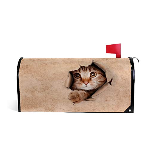 My Daily Magnetic Mailbox Cover Cute Kitty Cat Decorative MailWraps Mailbox Post Box Cover Standard Size 207X 1803 inch