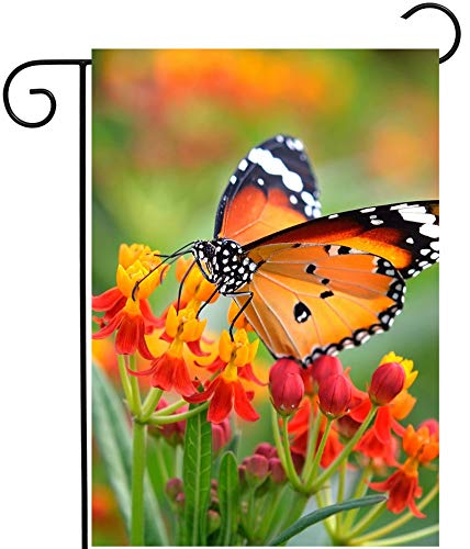 Pickako Butterfly Insects in On Orange Floral Flowers Spring Summer Natural Seasonal Garden Yard Flag 12 x 18 Inch Double Sided Outdoor Decorative Welcome Flags Banners for Home House Lawn Patio