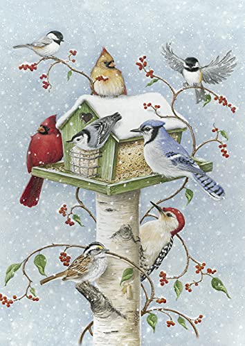 Toland Home Garden Winter Birds 28 x 40 Inch Decorative Snow Bird Cardinal Jay Birdhouse House Flag  1010097