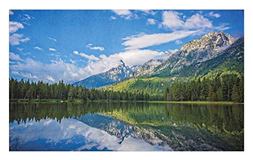 Ambesonne Landscape Doormat Pure Mountain Lake Scenery with Trees and Cloudy Sky Nature Inspired Print Decorative Polyester Floor Mat with Non-Skid Backing 30 X 18 Blue White Green