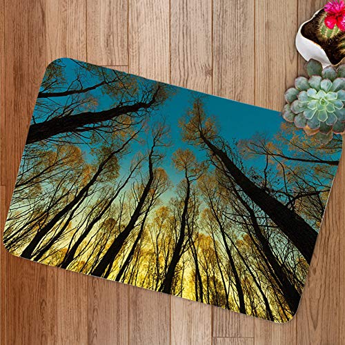 GULTMEE Doormat Mat Rural Scenery with Trees Reaching Out to Sky at Sunrise Nature Pastoral Image Plush Bathroom Decor Mat with Non Slip Backing 315 W X 196 Inches