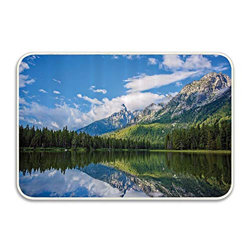 Huayuanhurug Pure Mountain Lake Scenery with Trees and Cloudy Sky Nature Inspired Print Doormat Non Slip Bathroom Rug Indoor Carpet Floor Dirt Trapper Mats Shoes Scraper 24x16 inch