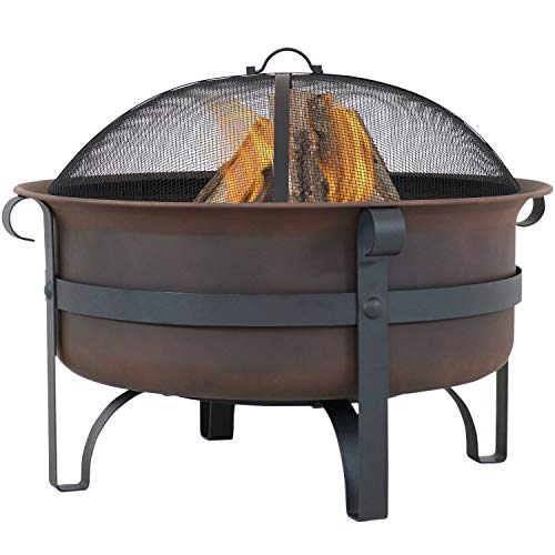Sunnydaze Large Bronze Cauldron Outdoor Fire Pit Bowl  Round Wood Burning Patio Firebowl with Portable Poker and Spark Screen  29 Inch