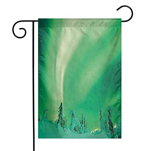 Aurora Borealis Multifunctional Garden Flag Poles Sky Display Over ICY Snowy Pine Trees Wanderlust Iceland Panorama Double-Sided Printing Use it in Any Weather Fern Green W12 x L18