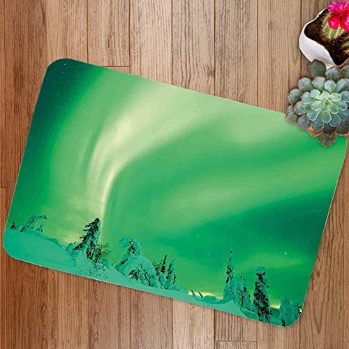 GULTMEE Doormat Mat Poles Sky Display Over ICY Snowy Pine Trees Wanderlust Iceland Panorama Plush Bathroom Decor Mat with Non Slip Backing 236 W X 157 Inches
