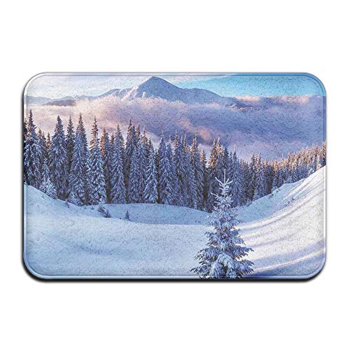 Jianyue High Mountain Peaks and Snowy Pine Trees Door Mat Entrance Mat Indoor Outdoor Entry Garage Patio Shoe Rugs Front Door Bathroom Mats Rubber Non Slip 314x20L X W