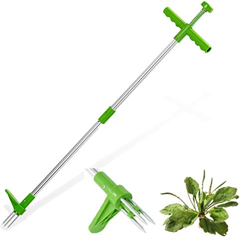 BeTIM Weed Puller Tool Stand Up 39 inch Root Remover Tool with 3 Stainless Steel Claws Long Handle Garden Hand Weeding Tool Lawn Weed Remover with Extension for Backyard Lawn Patio
