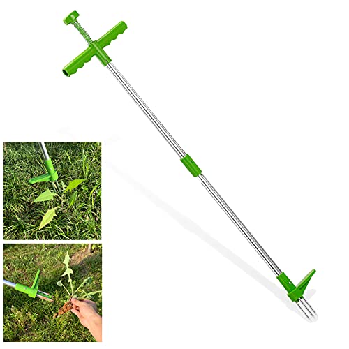 Homthia StandUp Weeder Root Removal Tool with 3 Stainless Steel Claws 39 Long Reinforced Aluminum Alloy Pole Manual Remover Weed Puller Hand Tool with High Strength Foot Pedal