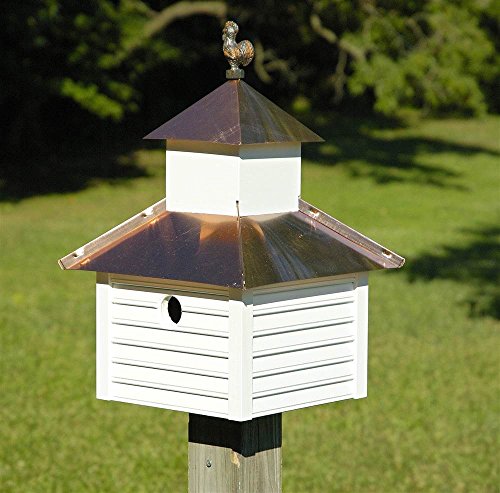 Rusty Rooster Bird House With White House Bright Copper Roof