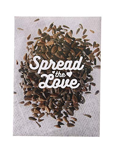 American Meadows Wildflower Seed Packets Spread The Love Party Favors for Guests (Pack of 20)  Wildflower Seed Mix Plant YearRound Great Gift for Hostesses Showers Weddings Thank You