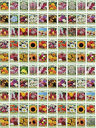 Black Duck Brand Set of 100 Flower Seed Packets Flower Seeds in Bulk  Best Value Seeds  Great for Classrooms Beginner Gardeners and Kids  Deluxe Varieties (100)