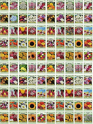 Black Duck Brand Set of 100 Flower Seed Packets Flower Seeds in Bulk  Best Value Seeds  Great for Classrooms Beginner Gardeners and Kids  Deluxe Varieties (100)