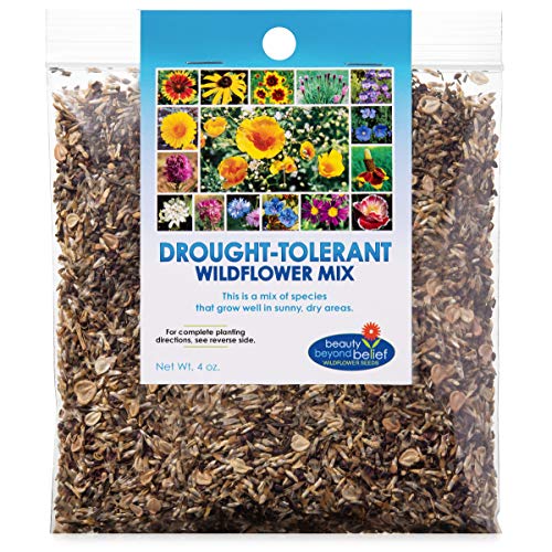 Drought Resistant Tolerant Wildflower Seeds OpenPollinated Bulk Flower Seed Mix for Beautiful Perennial Annual Garden Flowers  No Fillers  4 oz Packet