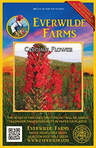 Everwilde Farms  2000 Cardinal Flower Native Wildflower Seeds  Gold Vault Jumbo Seed Packet