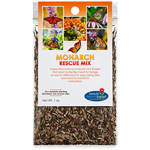 Monarch Butterfly Rescue Wildflower Seeds Bulk OpenPollinated Wildflower Seed Packet No Fillers Annual Perennial Milkweed Seeds for Monarch Butterfly 1oz