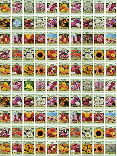 Set of 100 Assorted Valley Green Flower Seed Packets Flower Seeds in Bulk  20 Varieties Included