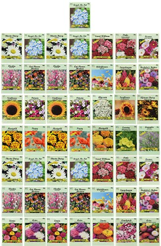 Set of 50 Flower Seed Packets Flower Seeds in Bulk 15 or More Varieties Available