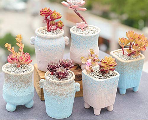 Ceramic Flower Pot 334 inch Ceramic Series Set Flower Pot Cactus Flower Pot Succulent Flower Pot Ceramic Flower Pot Planter with Holes Desktop Flower Pot Decorative Flower Pot (6 pcs)