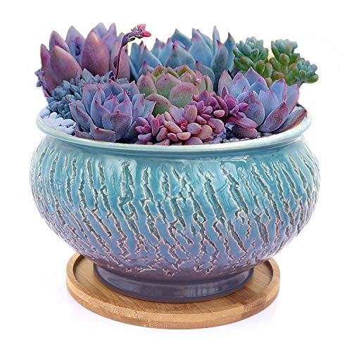 Color Glazed Vintage Round Ceramic Succulent Plant Pot with Drainage Hole and Tray Succulent Holder Bonsai Flower Vase Garden Decorative Cactus Plants Stand Artificial Topiary Potted Container