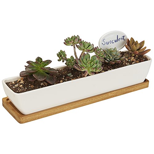 FLOWERPLUS Planter Pot Indoor 11 Inch Long Rectangle White Ceramic Small Succulent Cactus Flower Plant Container with Bamboo Base and Little Plants Sign for Indoors Outdoor Home Garden Kitchen Decor